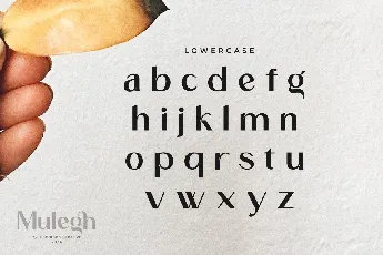 Mulegh font