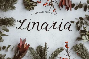 Linaria Script font