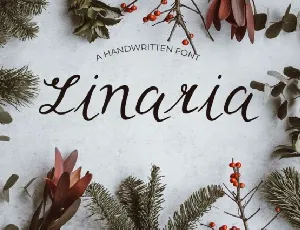 Linaria Script font