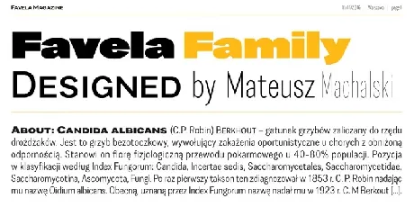 Favela Family font