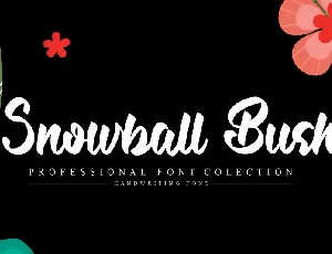 Snowball Bush Script font