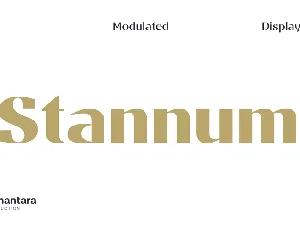 Stannum Trial font