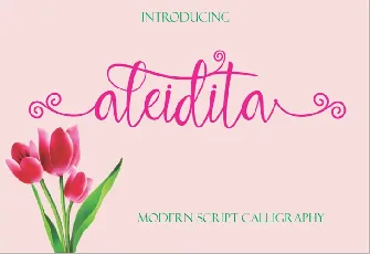 Aleidita Script Free font