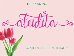 Aleidita Script Free font