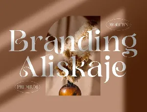 Branding Aliskaje Serif font