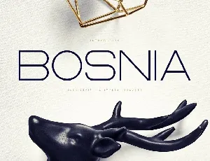 Bosnia font