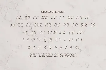 MeghanFasshionDemo font