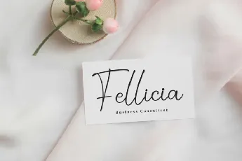 Audrina Signature font