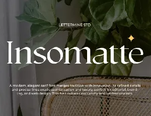 Insomatte font