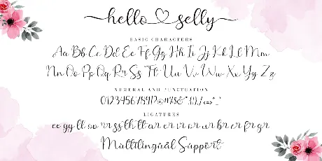 Hello Shilla font