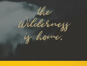 Wild Youth font