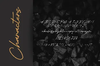 Thesignature font