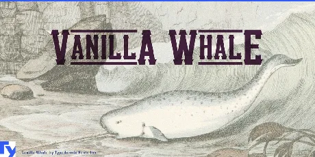 Vanilla Whale font