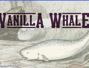 Vanilla Whale font