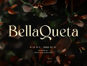 Bella Queta font