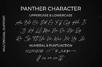 Panther Signature font