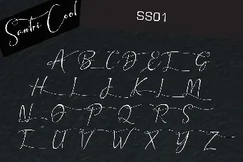 Santri Cool font