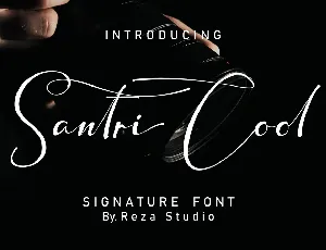 Santri Cool font