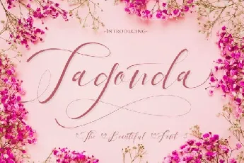 Tagonda Calligraphy font