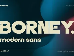 Borney font