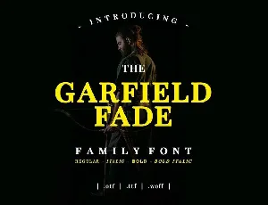 Garfield Fade font