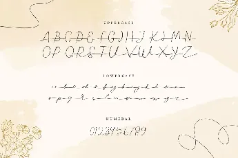 Seledina Free Trial font