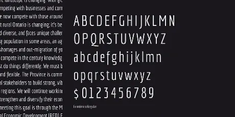 Economica font