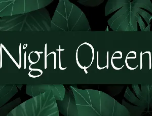 Night Queen Handwritten font