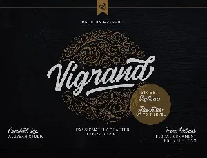 Vigrand Script Family font