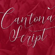 Cantona Script font