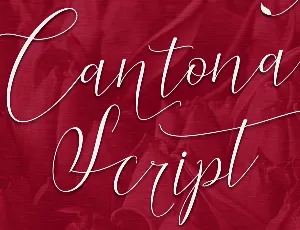 Cantona Script font