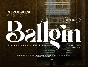 Ballgin font