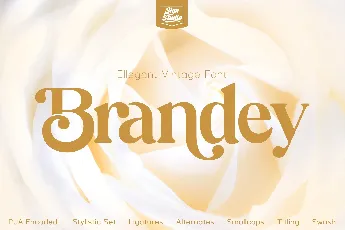 Brandey font