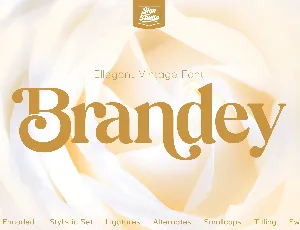 Brandey font