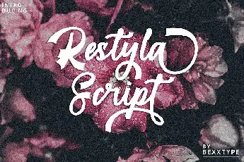 Restyla Script font