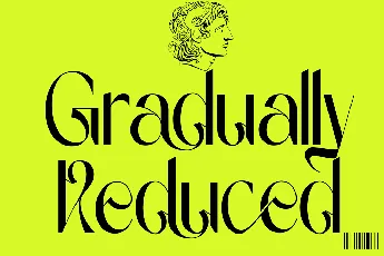 Gradually Reduced Demo font