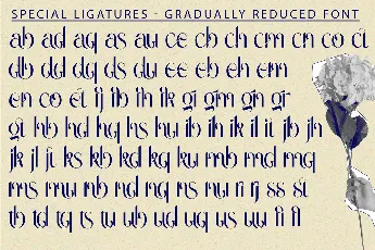 Gradually Reduced Demo font