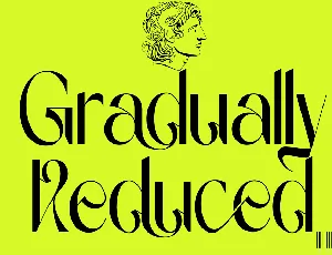 Gradually Reduced Demo font