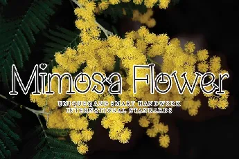 Mimosa Flower Display font