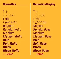 Normatica & Normatica Display Typeface font