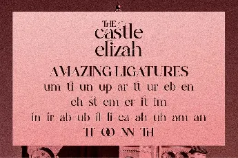 The Castle Elizah font