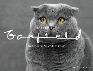 Garfield font