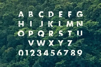 Urban Jungle font