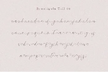 Beautigula font