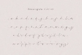 Beautigula font