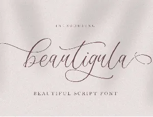 Beautigula font