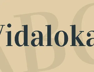 Vidaloka font