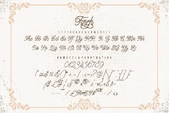 Finch Monoline Script font