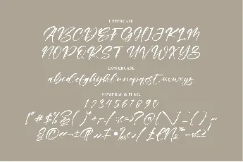 Raylight font