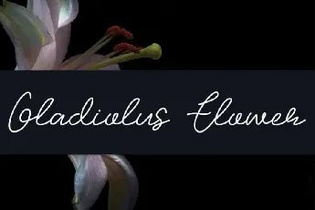 Gladiolus Flower Handwritten font